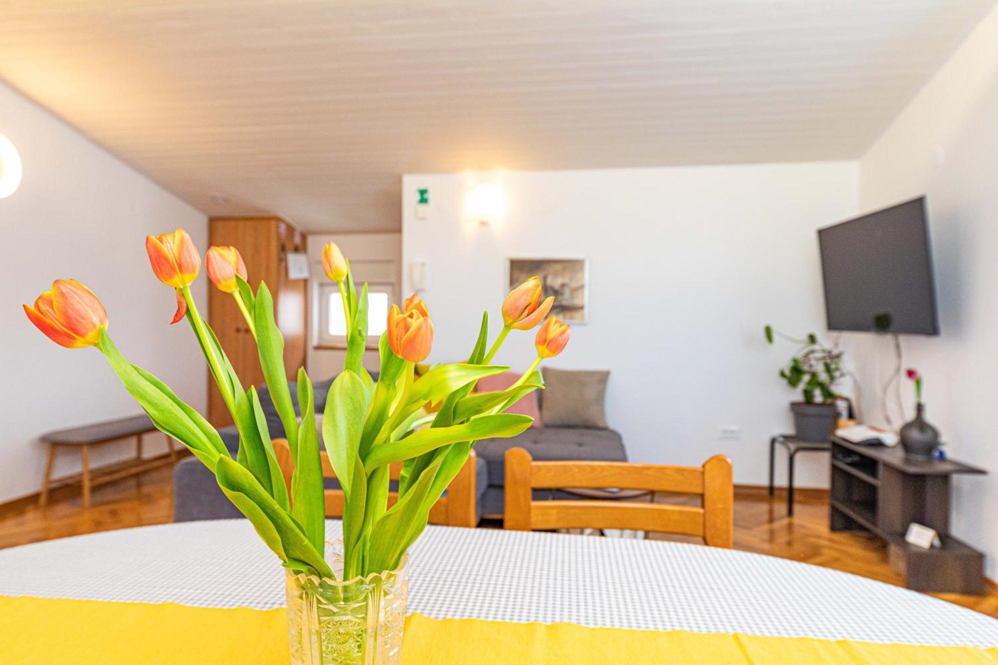 סטוברץ Apartments Iskra מראה חיצוני תמונה